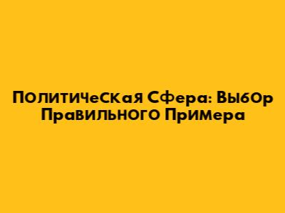 Политическая Сфера: Выбор Правильного Примера