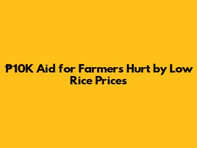 ₱10K Aid for Farmers Hurt by Low Rice Prices