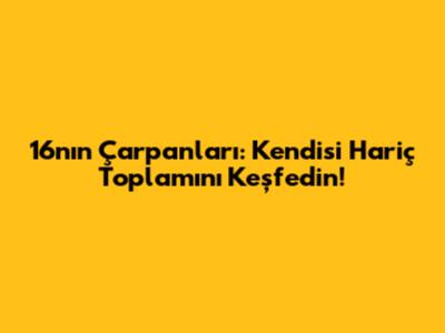 16'nın Çarpanları: Kendisi Hariç Toplamını Keşfedin!