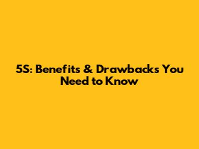 5S: Benefits & Drawbacks You Need to Know