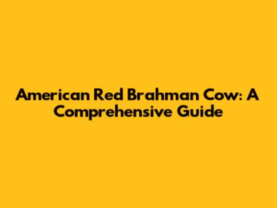 American Red Brahman Cow: A Comprehensive Guide