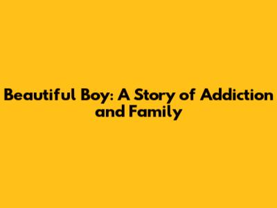 Beautiful Boy: A Story of Addiction and Family