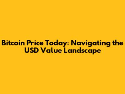 Bitcoin Price Today: Navigating the USD Value Landscape