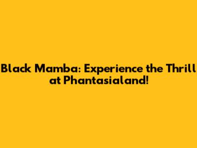 Black Mamba: Experience the Thrill at Phantasialand!