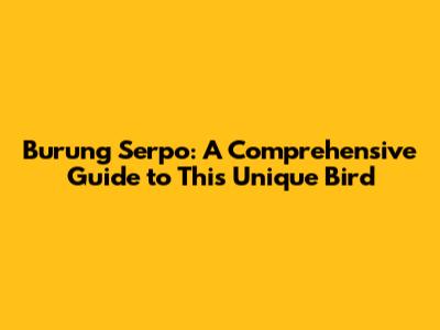 Burung Serpo: A Comprehensive Guide to This Unique Bird