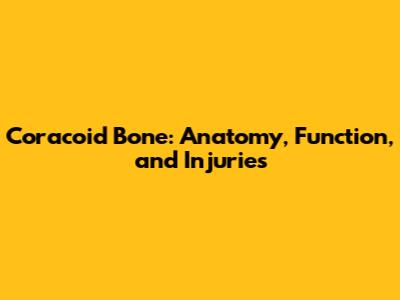 Coracoid Bone: Anatomy, Function, and Injuries