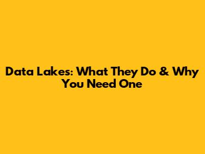 Data Lakes: What They Do & Why You Need One