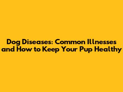 Dog Diseases: Common Illnesses and How to Keep Your Pup Healthy