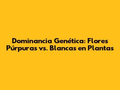 Dominancia Genética: Flores Púrpuras vs. Blancas en Plantas