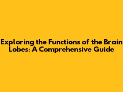 Exploring the Functions of the Brain Lobes: A Comprehensive Guide