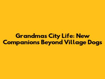 Grandma's City Life: New Companions Beyond Village Dogs