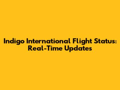 Indigo International Flight Status: Real-Time Updates