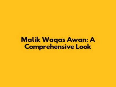 Malik Waqas Awan: A Comprehensive Look
