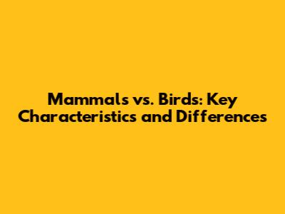 Mammals vs. Birds: Key Characteristics and Differences