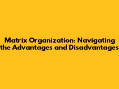 Matrix Organization: Navigating the Advantages and Disadvantages