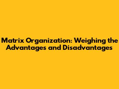 Matrix Organization: Weighing the Advantages and Disadvantages