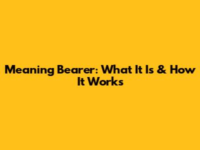 Meaning Bearer: What It Is & How It Works
