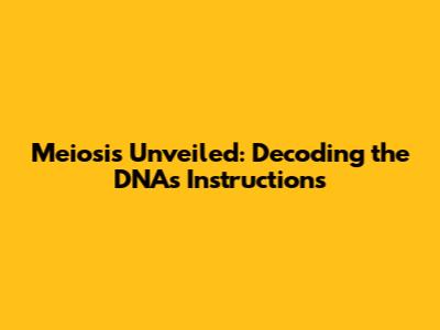 Meiosis Unveiled: Decoding the DNA's Instructions