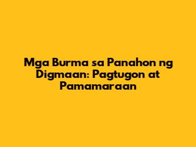 Mga Burma sa Panahon ng Digmaan: Pagtugon at Pamamaraan