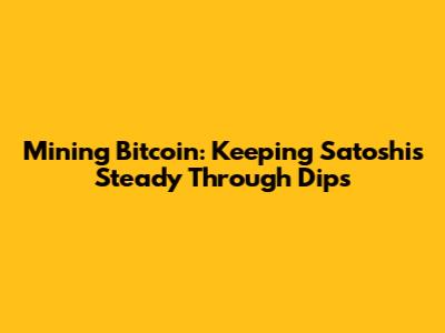 Mining Bitcoin: Keeping Satoshis Steady Through Dips