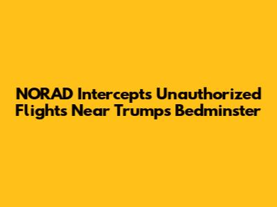 NORAD Intercepts Unauthorized Flights Near Trump's Bedminster