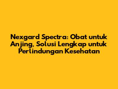 Nexgard Spectra: Obat untuk Anjing, Solusi Lengkap untuk Perlindungan Kesehatan