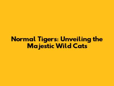 Normal Tigers: Unveiling the Majestic Wild Cats