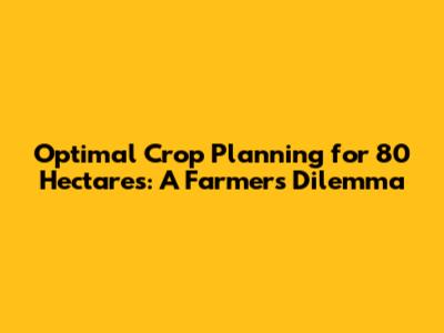 Optimal Crop Planning for 80 Hectares: A Farmer's Dilemma