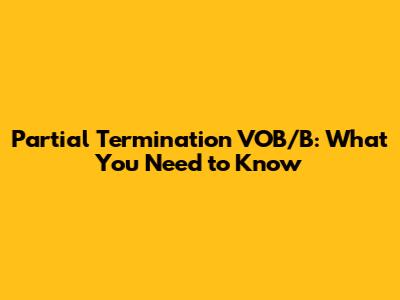 Partial Termination VOB/B: What You Need to Know