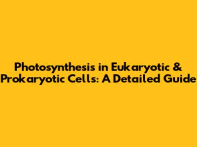 Photosynthesis in Eukaryotic & Prokaryotic Cells: A Detailed Guide