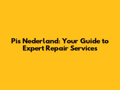 Pi's Nederland: Your Guide to Expert Repair Services