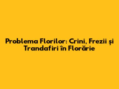 Problema Florilor: Crini, Frezii și Trandafiri în Florărie