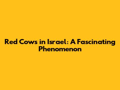 Red Cows in Israel: A Fascinating Phenomenon