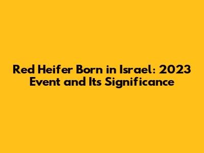 Red Heifer Born in Israel: 2023 Event and Its Significance