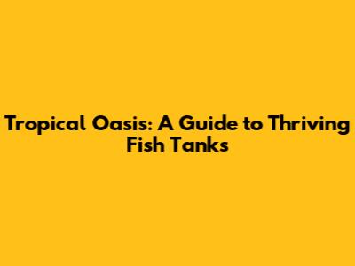 Tropical Oasis: A Guide to Thriving Fish Tanks