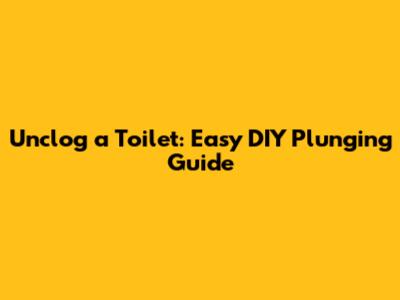 Unclog a Toilet: Easy DIY Plunging Guide