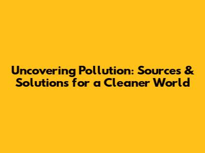 Uncovering Pollution: Sources & Solutions for a Cleaner World