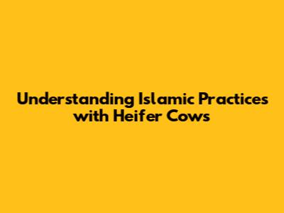 Understanding Islamic Practices with Heifer Cows