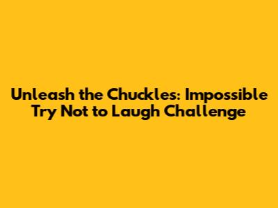 Unleash the Chuckles: Impossible Try Not to Laugh Challenge